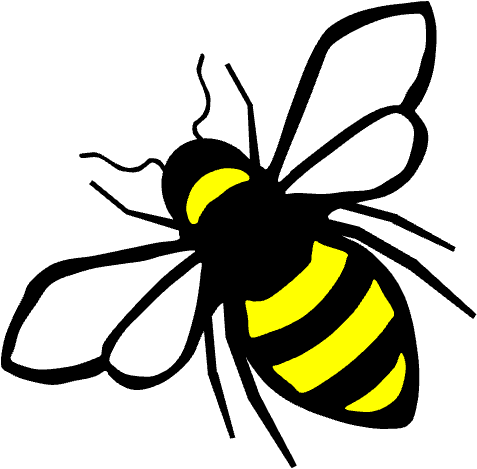 bee